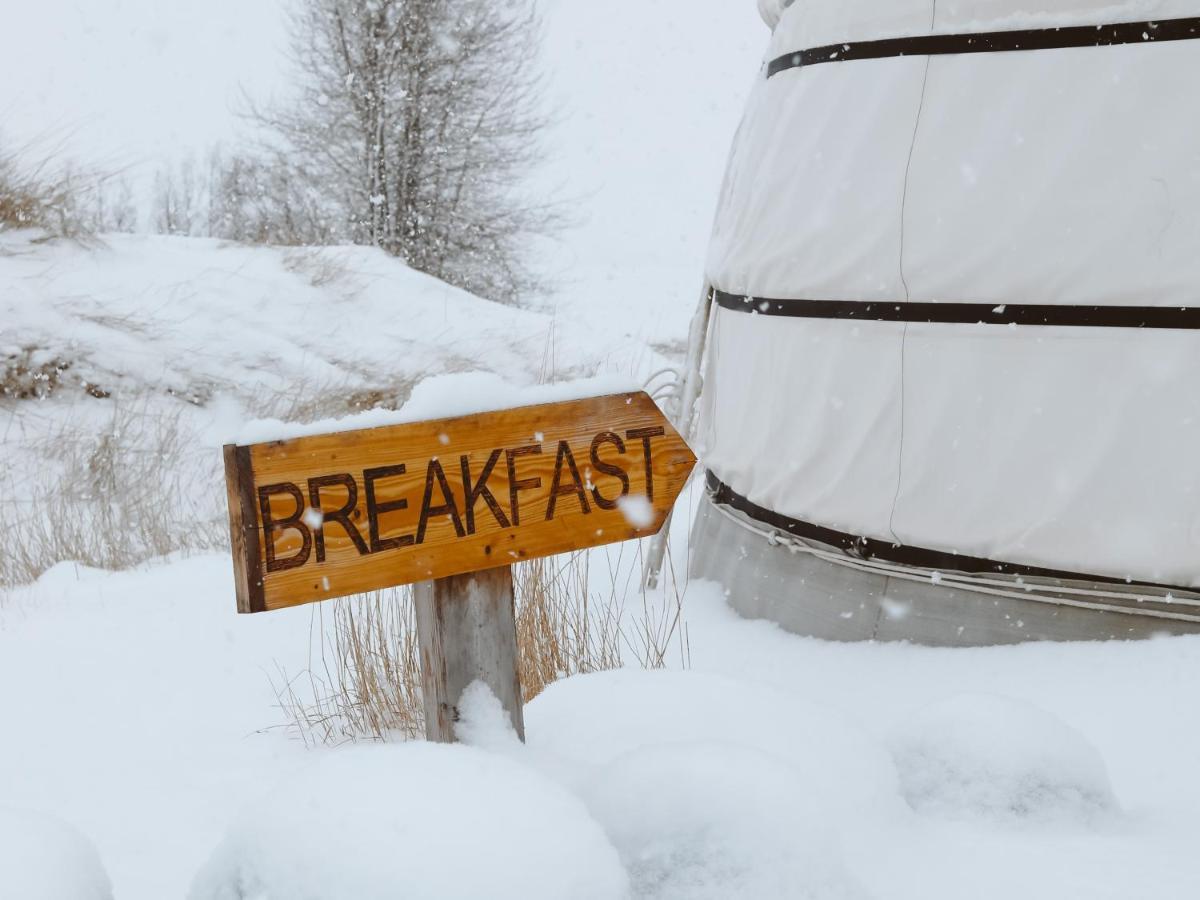 Luxury tent Nattura Yurtel Haukadalur